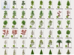 400 mb tổng hợp photoshop cây xanh - dạng png (bản đẹp)