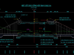 Bản vẽ cống hộp đôi 3x2(m)