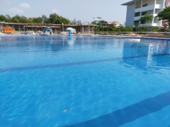 Bản vẽ thiết kế hồ bơi Trường PTTH tại Phú yên Kích thước 15x25m & Hồ Trẻ em.
