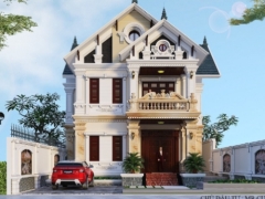 Mẫu biệt thự tân cổ điển 2 tầng 11x14.5m  gồm