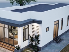 Nhà phố 1 tầng 80m2 model cad