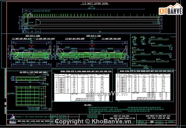 Bản vẽ chi tiết,Bản vẽ dầm I=12.5m,chi tiết dầm I,thiết kế dầm