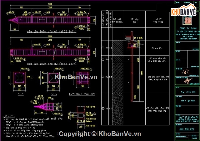 Biệt thự 10x12.34m,kiến trúc biệt thự,kết cấu biệt thự,bản vẽ vẽ biệt thự cổ điển,thiết kế biệt thự tân cổ điển