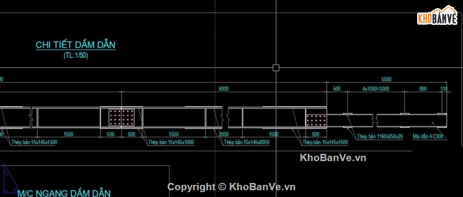 thi công cầu,cầu dầm,Bản vẽ dầm,Bản vẽ thi công