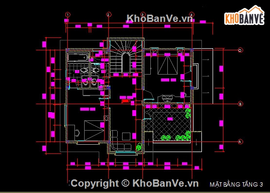 biệt thự,thiết kế biệt thự,bản vẽ biệt thự