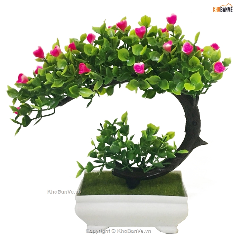 Bonsai photoshop,Thư viện cây cảnh Bonsai,Bonsai hơn 100 mẫu file Photoshop,mẫu cây bonsai đẹp PTS