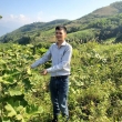 Nguyễn Văn Khoa